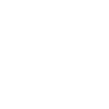 ICN Pm