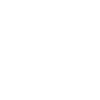 ICN flight